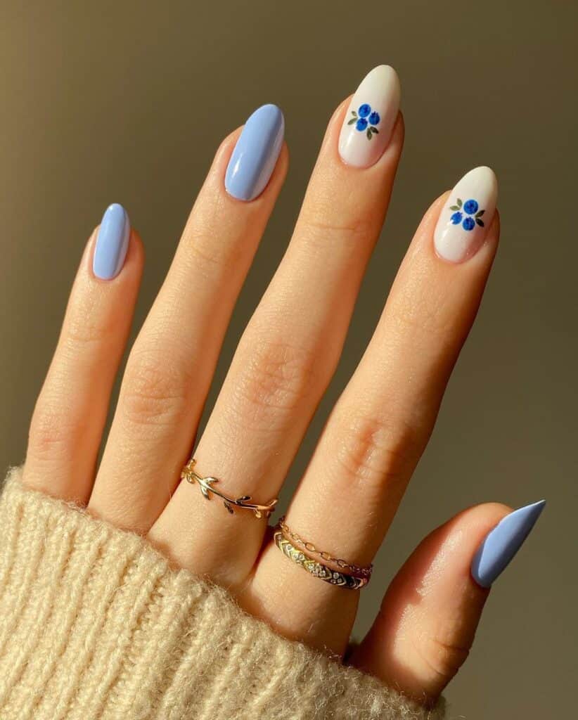 Blueberries-Nails